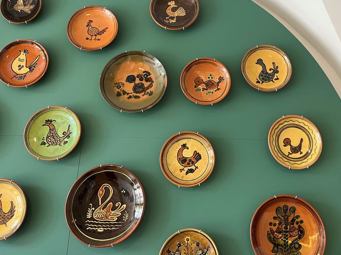 Wystawa Łysogórski Zwierzyniec w Krakowie