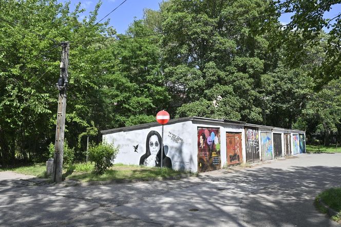 Ozzy Osbourne na Osiedlu Przyjaźń. Wyjątkowy portret "Księcia Ciemności"