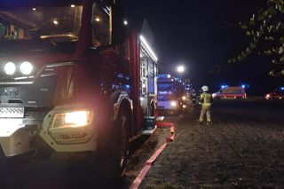  Zajączkowice. Kobieta zginęła w pożarze domu [ZDJĘCIA]