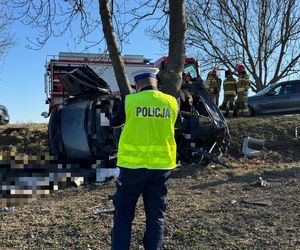 Tragedia na drodze pod Nysą. Samochód wjechał w drzewo. Nie żyją cztery osoby