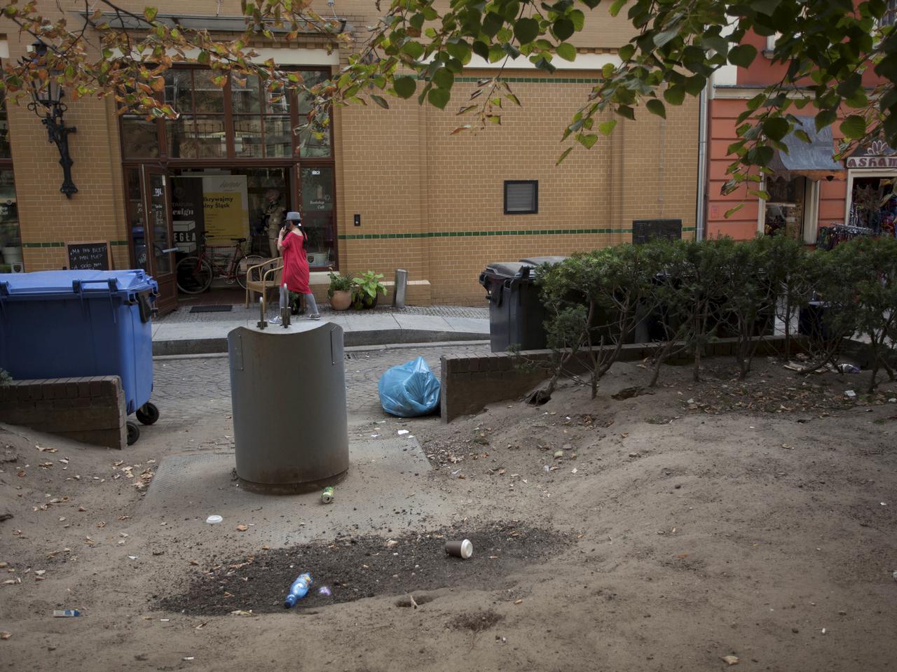 Szczury zżerają Wrocław