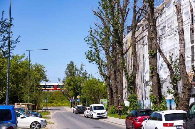 Osiedle Aleje Praskie, ul. Podskarbińska