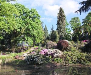 Arboretum Wojsławice prezentuje pełną paletę barw