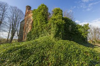Magiczne miejsce w malutkiej wsi na Warmii i Mazurach. Stoją tam ruiny sprzed 700 lat