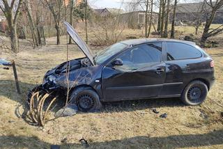 Pijany 21-latek huknął seatem czołowo w radiowóz. Dwóch policjantów trafiło do szpitala