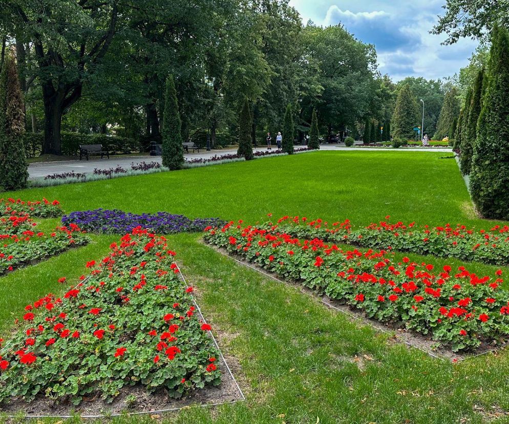 Najcieplejsze miasto w woj. podlaskim. Tu padł rekord temperatury!