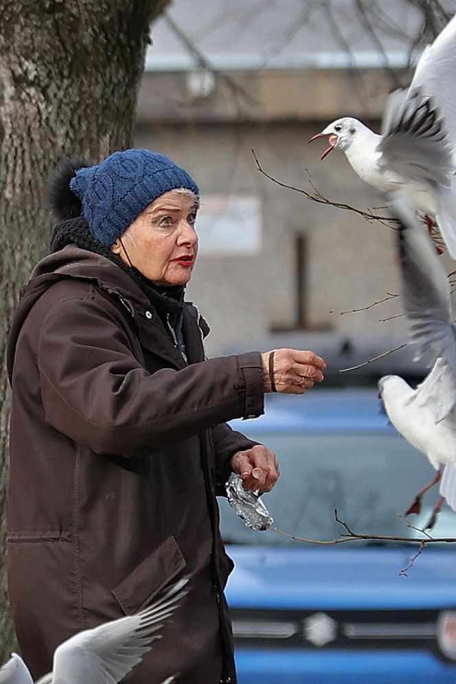 Anna Chodakowska. Gwiazda "Labiryntu" wśród ptaków