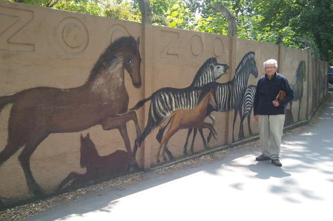 Malarz sam odnawia mural na ogrodzeniu wrocławskiego zoo