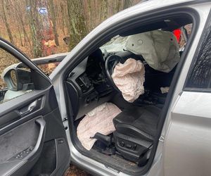 Skoda z dwiema osobami w środku uderzyła w drzewo. 4-letnie dziecko trafiło do szpitala