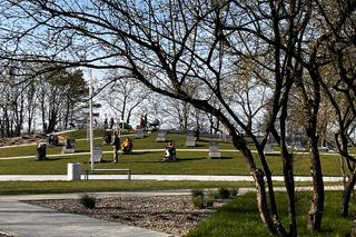 Wiosna w Międzyzdrojach zachwyca