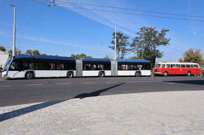 Animacje, najdłuższy autobus w kraju i inne atrakcje. Tak wyglądał Dzień bez Samochodu w Lublinie