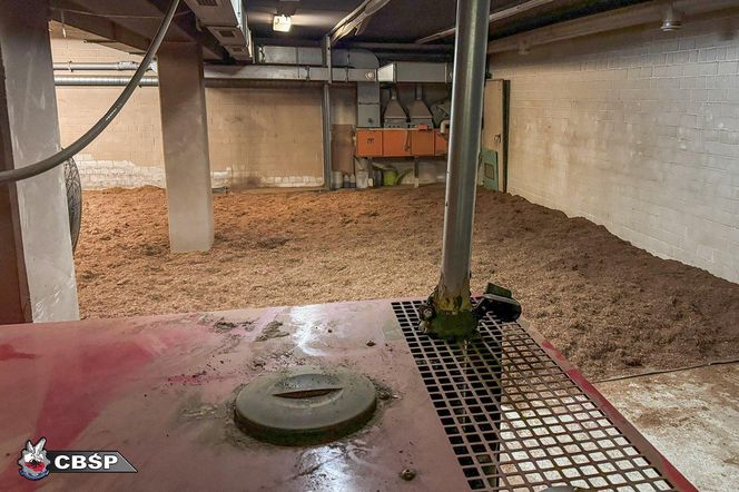 Nielegalna fabryka papierosów rozbita