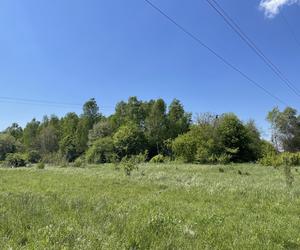 Najdłuższy park w Polsce jest w Krakowie. Ledwo widać go na mapach, a jest pełen atrakcji