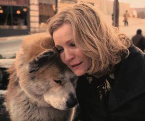 Ten film łamie serce na kawałki. “Mój przyjaciel Hachiko” już wkrótce w TVP