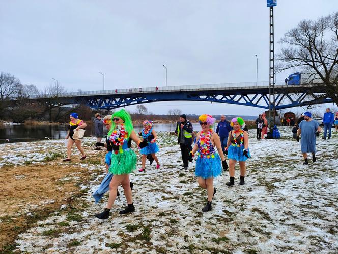 Dali czadu! Udane morsowanie z serduchem i WOŚPogeddon w Łomży