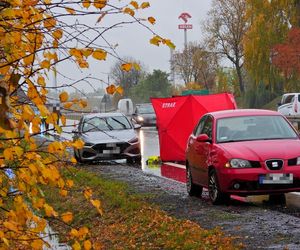 Zwłoki na drodze w Tarczynie. Policja szuka świadków