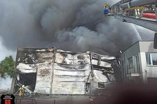 Pożar hali magazynowej w Żółwinie