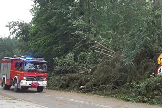 Pozrywane dachy, połamane drzewa. Skutki weekendowych nawałnic na Podkarpaciu