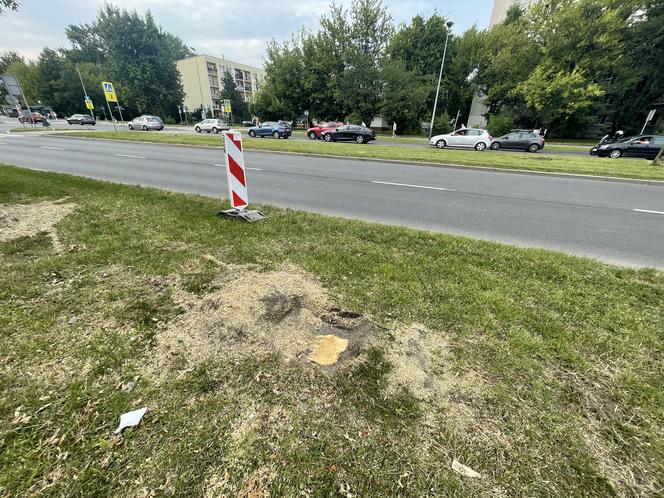 Protest mieszkańców przeciwko wycince drzew pod budowę linii tramwajowej do Mistrzejowic.