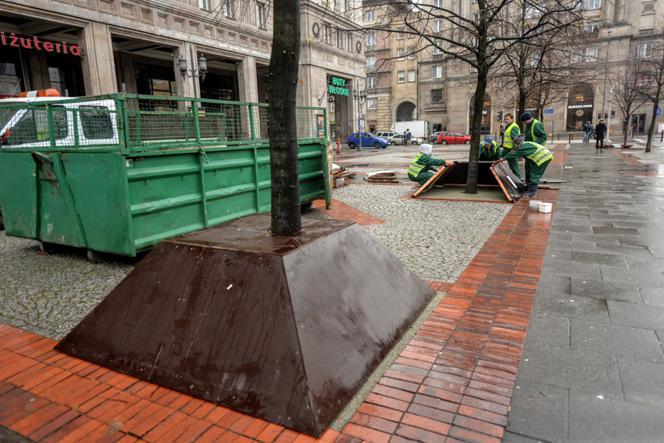 Jedno drzewo już ma kołnierz, drugie czeka na założenie.