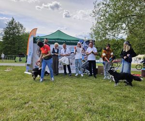 Festiwal Przyjaciół Zwierząt w Olsztynie. Park Centralny opanowały radosne pieski