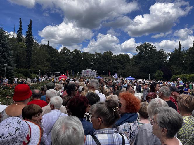 Kolejka tort urodziny Szczecina 