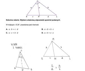 Matura z matematyki 2024 - ODPOWIEDŹ - ZADANIE 20