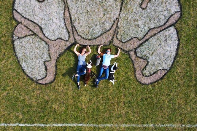 Nad Wrocławiem będą latać psy! Weekend z zawodami Dog Frisbee w parku Południowym [AUDIO] 