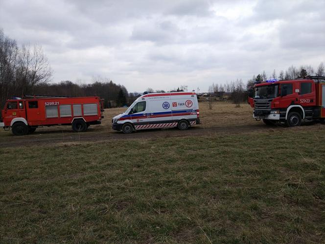 Mężczyzna przygnieciony przez drzewo