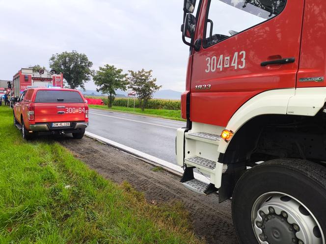 Bus uderzył w drzewo. Dwie osoby nie żyją! 