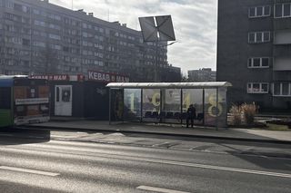 Wiata Pogoni Szczecin 