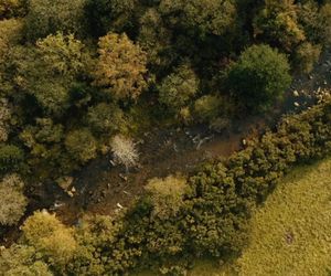 Księżna Kate jest jesieniarą! Nowy film może wzruszyć