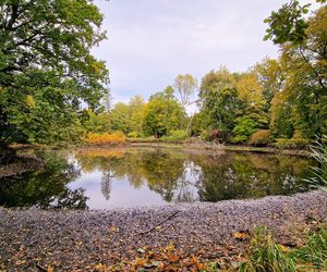 Niegdyś stawy, teraz... kałuże? Park w Pszczynie upuścił wodę ze zbiorników