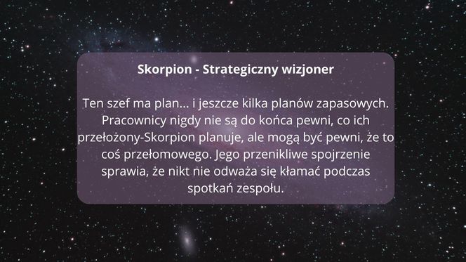 Zodiakalne style zarządzania: Kiedy gwiazdy wkraczają do biura