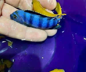 Rozmawiamy z Tomaszem Wiśniewskim, założycielem Aqua Dreams Bydgoszcz