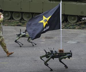 Parada wojskowa w USA