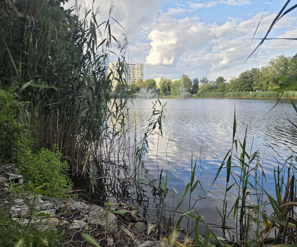 Zielona perła Bartodziejów. Odkryj uroki bydgoskiego Balatonu