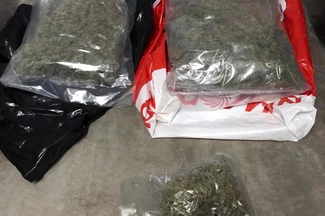 Policjanci zabezpieczyli 2 kilogramy marihuany