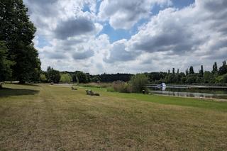 Otwierają popularne kąpielisko we Wrocławiu. Będą nowe atrakcje, jakie są ceny biletów? 