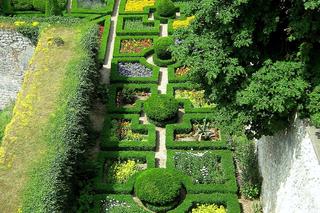 Ojcowski Park Narodowy zachwycił zagraniczne media. To prawdziwa oaza spokoju