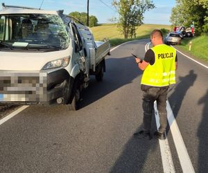 170 świń na drodze. To efekt wypadku drogowego pod Bytowem [ZDJĘCIA]