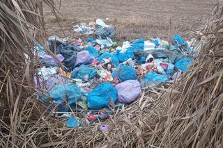 500 złotych mandatu dla obcokrajowca śmieciarza. Policjanci z Gostynia znaleźli osobę, która wyrzuciła przy drodze kilkanaście worków ze śmieciami