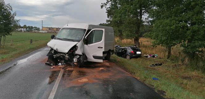 Siedem osób rannych, lądowały trzy śmigłowce. Wypadek pod Lesznem