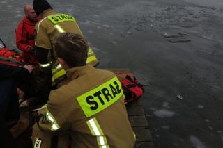 Bezbronny psiak wpadł do lodowatej wody. Nie mógł się wydostać. Strażacy: Zdążyliśmy w ostatniej chwili
