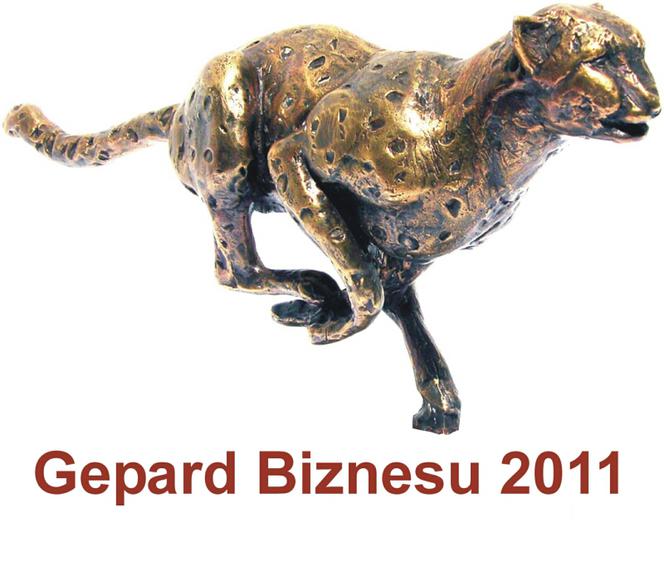 Certyfikat Gepard Biznesu 2011