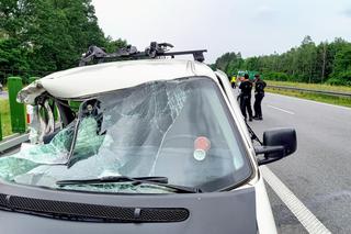 Wypadek busa z dziećmi i wojskowej ciężarówki na S3 pod Zieloną Górą! 12-latka reanimowana. Są inni ranni [ZDJĘCIA]