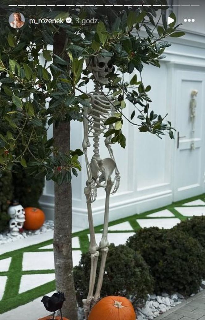 Małgorzata Rozenek-Majdan