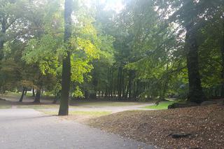 Park Zamkowy i Promenada w Mysłowicach