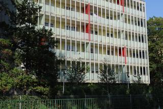 Mamo, babciu, ratunku. Szokujące informacje w sprawie Sebastiana z Wrocławia!