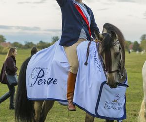 Maciej Musiałowski szykuje wielkie wydarzenie z udziałem gwiazd. Wszystko będzie dziać się w jego zamku